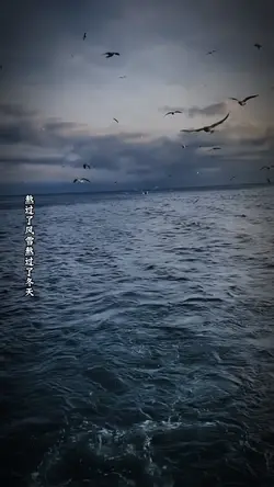 Mẫu slow
