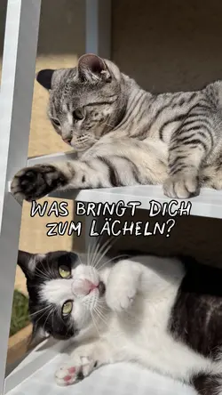 Grund zum Lächeln 🫶🏻