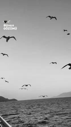 Bir seni düşündüm❤️‍🩹