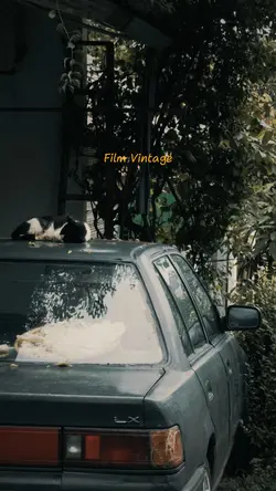 10 ảnh màu vintage🍂