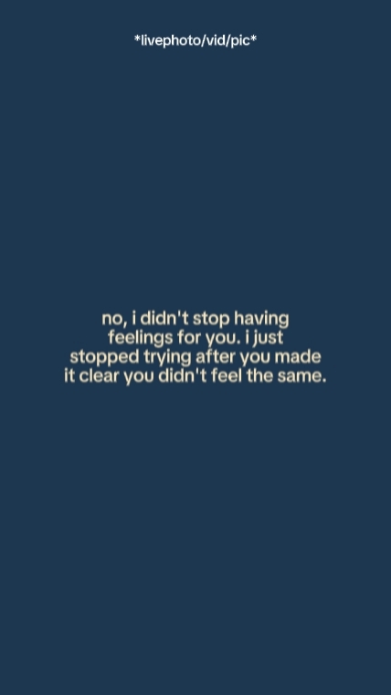 noididntstophavingfe