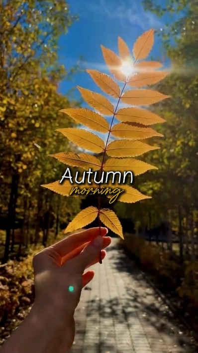 Autumn morning 