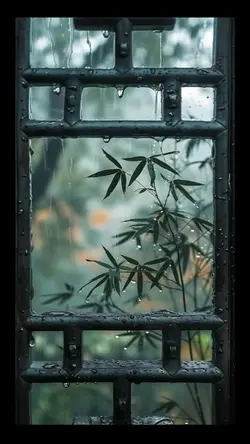 Rewind Vision