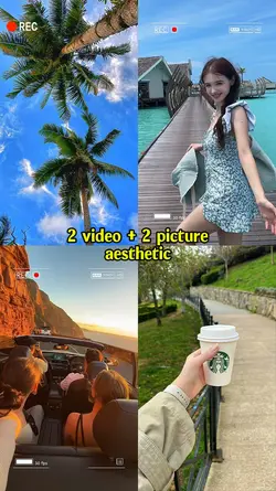 2 video + 2 picture