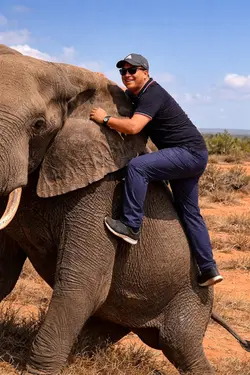 NEW ELEPHANT TEMPLET