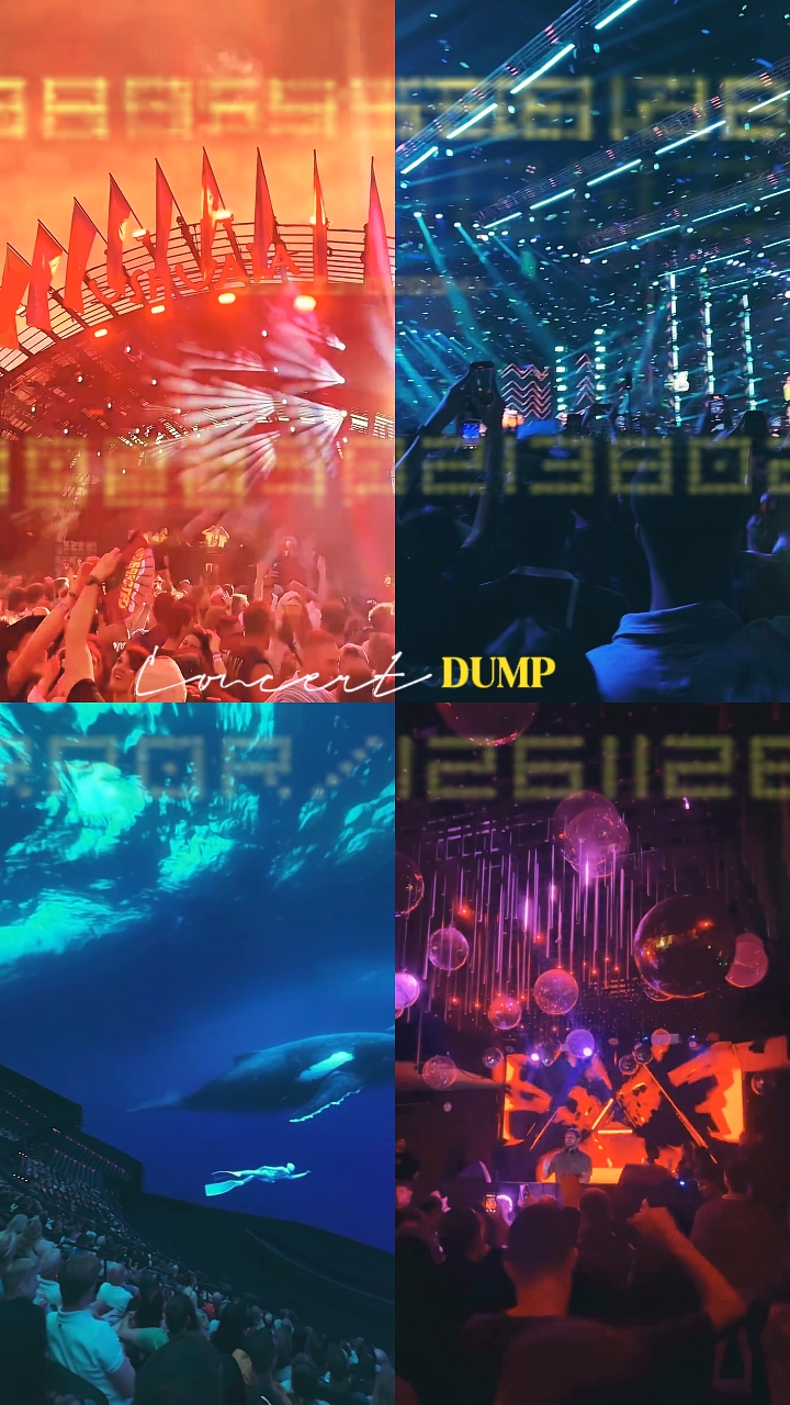 CONCERT DUMP 
