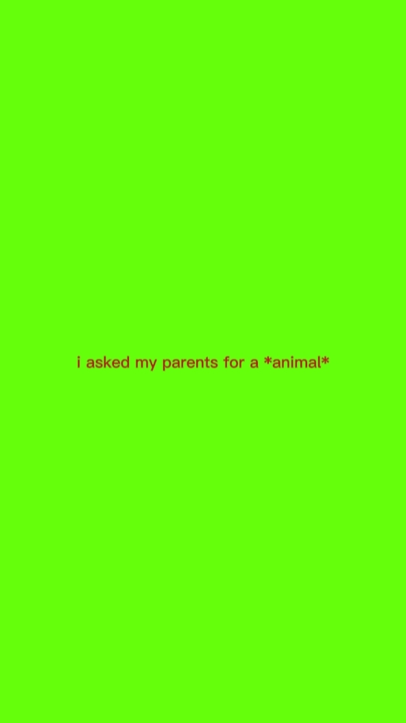Iaskmyparent4animal