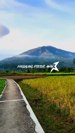 SINGGALANG DI TUTUIK