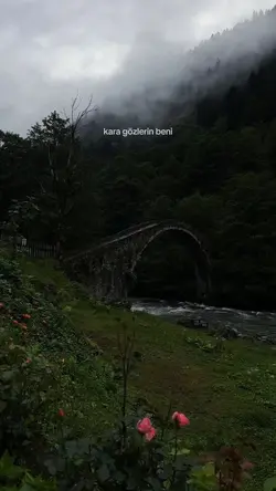 haykırsam sevduğumi