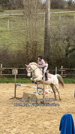 Porsche ou BMW ? 