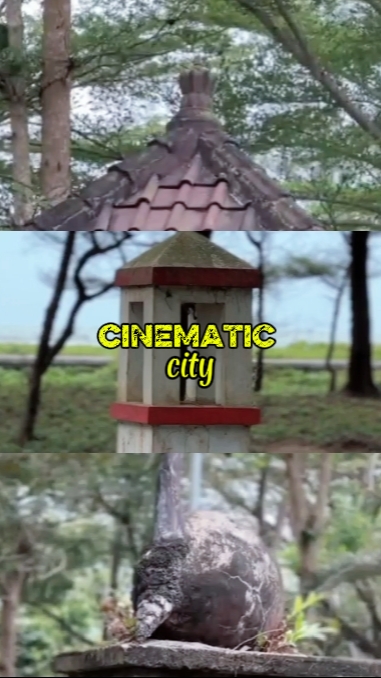 LUNGSOD NG CINEMATIC 