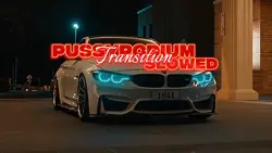 Pussypodium