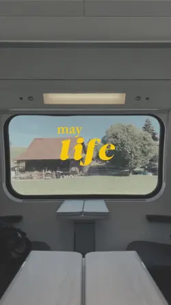 MAY LIFE 