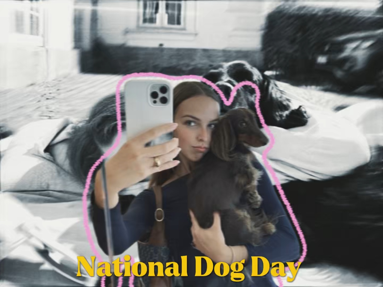 Nationaler Tag des Hundes