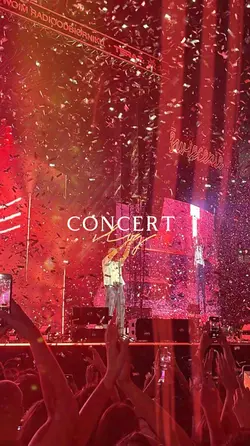 Concert Vlog