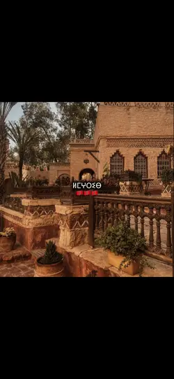 🇲🇦 المغرب 🇲🇦 