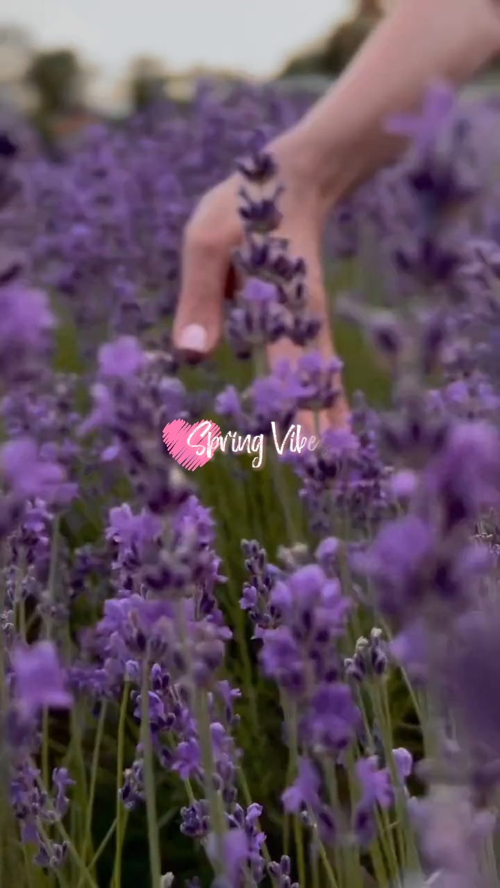 Vibrações De Primavera