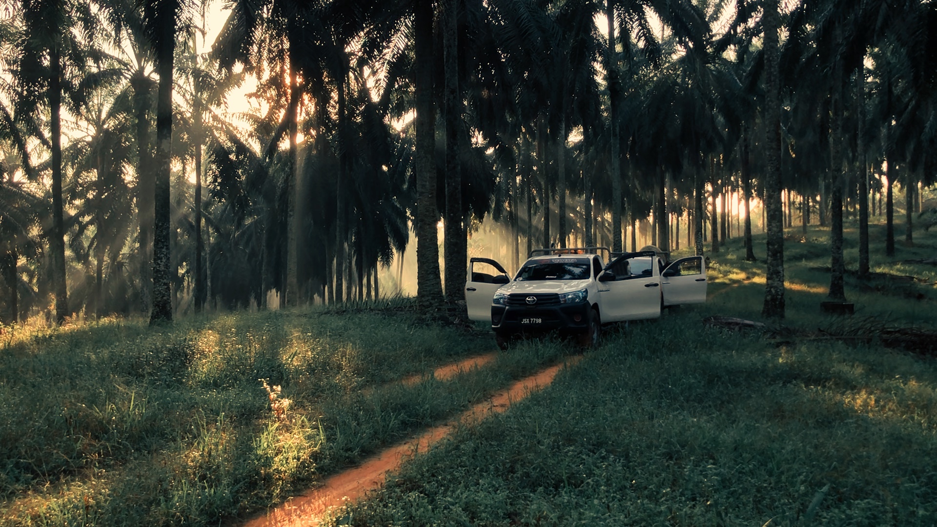 landscape slow
