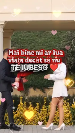 N aș putea să las...