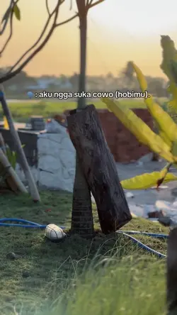 AKU NGGA SUKA COWO