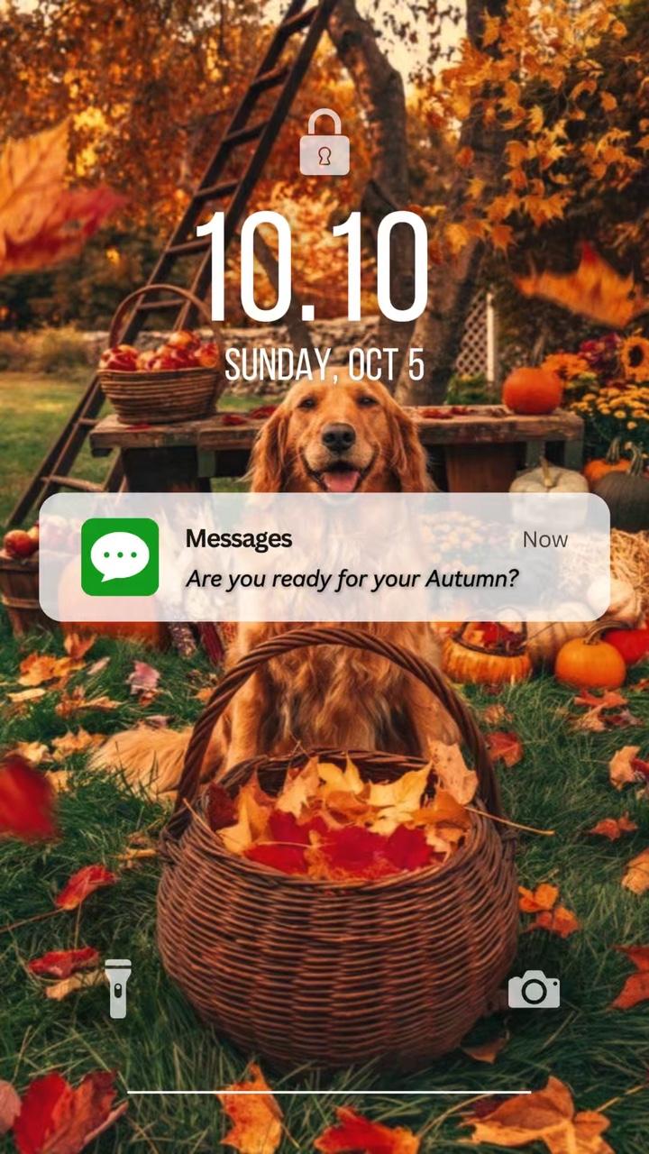 Autumn vibes dog