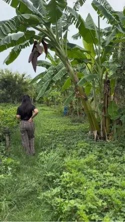 ជីវិតជាកូនះ្នកស្រែ🥰