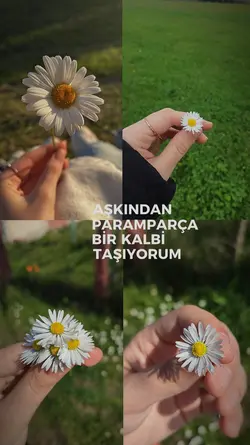 Yeni Şablon