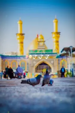 علی علی علی 