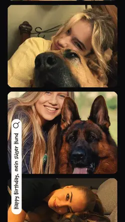 Birthday dog -hund 