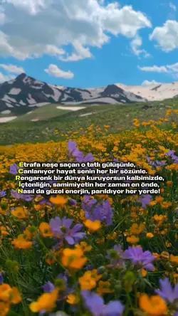 Yeni şablon