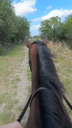 Beauuu ⚠️FAKE⚠️