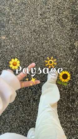 Paysage🌻✨