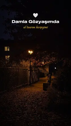 Linet Meğerse Şablon