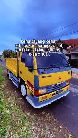bukan burung wallet