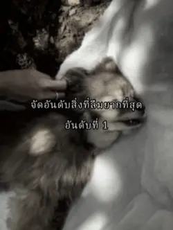จัดอันดับสิ่งที่ลืมยากที่สุด