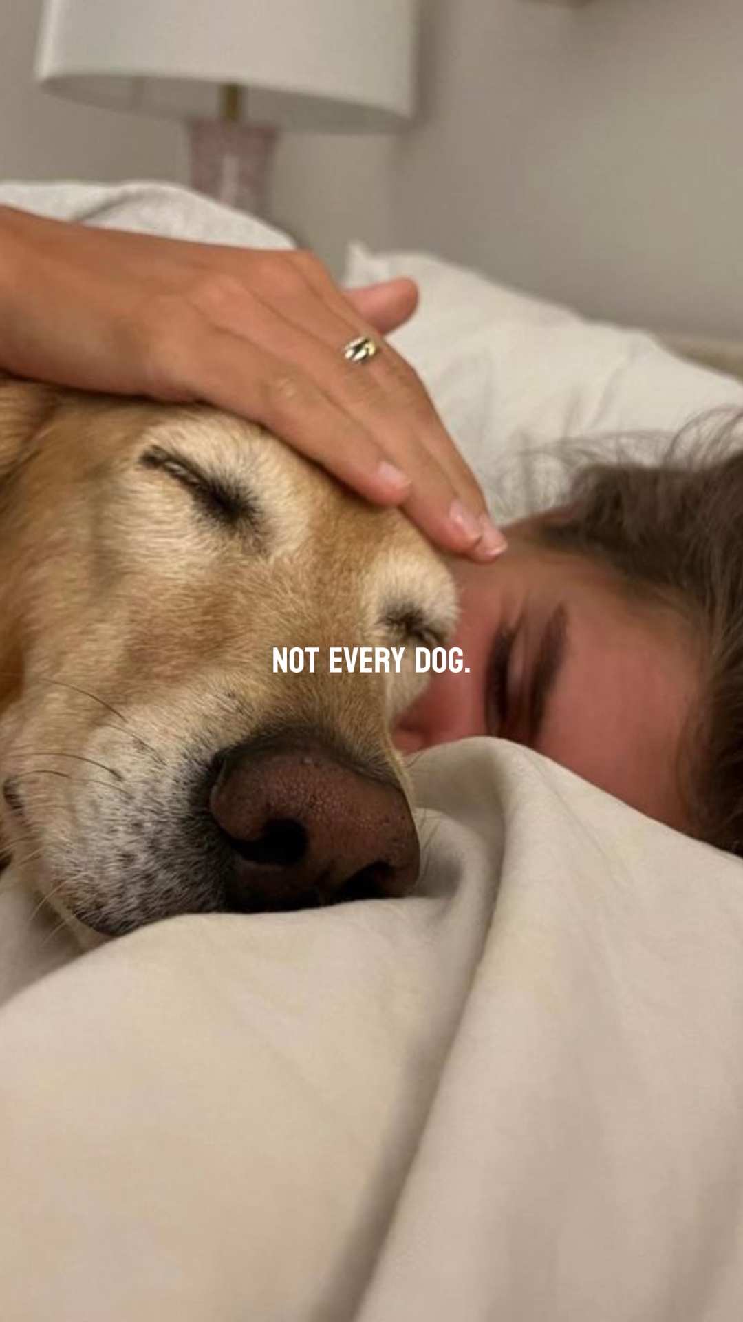 not every dog.