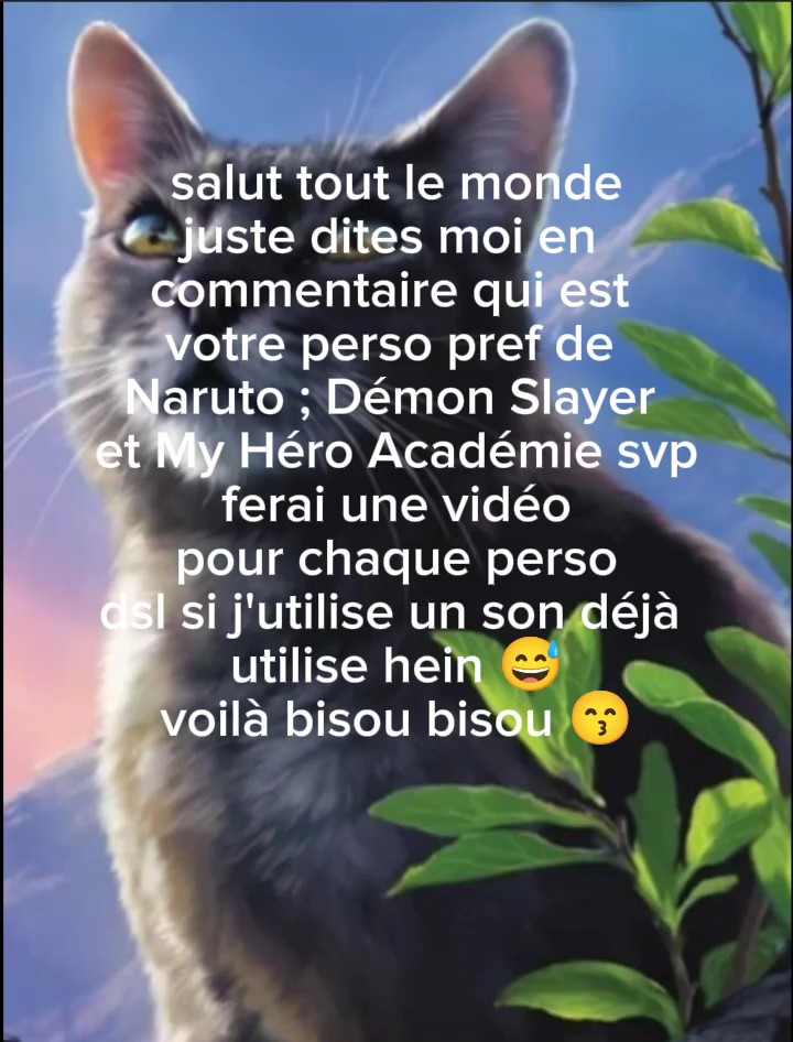 V'la !!!