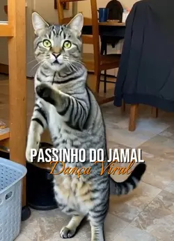 Passinho do jamal
