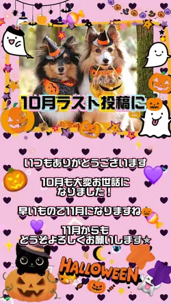 ハロウィン×10月ラスト投稿挨拶
