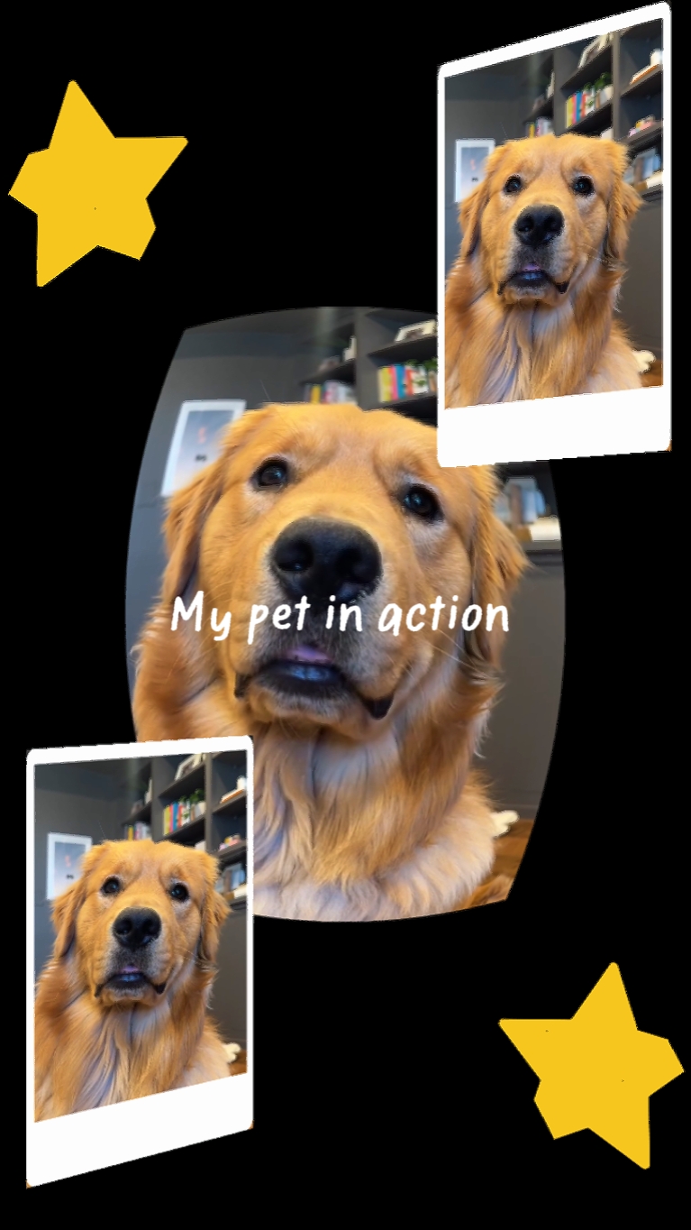 my pet