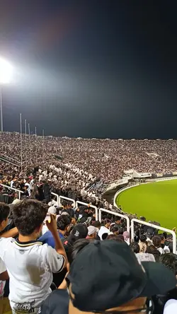 Harimau Malaya