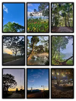 9Pic Frame Aesthetic