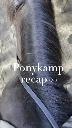 Ponykamp!!