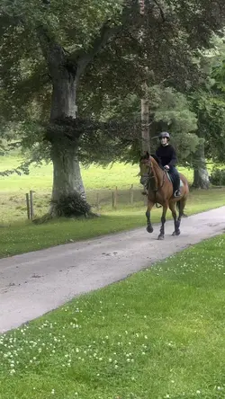 absolute unit🔥🔥#fake