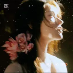 មិនអស់អាល័យ - 