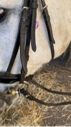 Always my fav💓🌟