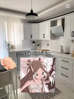 Biz evi terk ediyoru