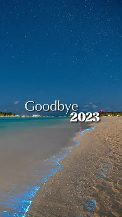 Goodbye 2023