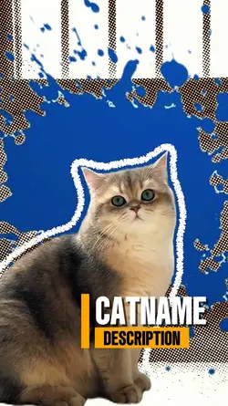 cat intro