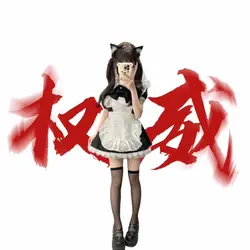 权威背景图玩法